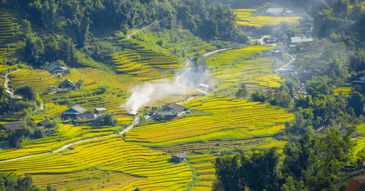     Những thửa ruộng bậc thang Sa Pa óng ả trong những ánh sương mai tươi sáng 
