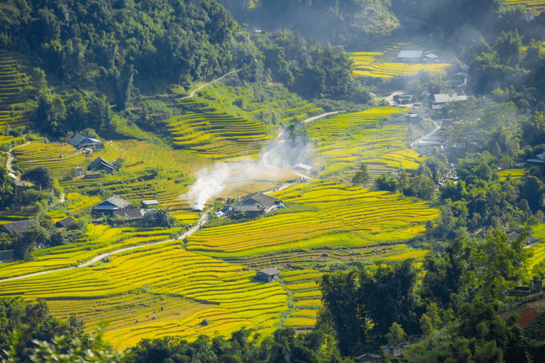     Những thửa ruộng bậc thang Sa Pa óng ả trong những ánh sương mai tươi sáng 