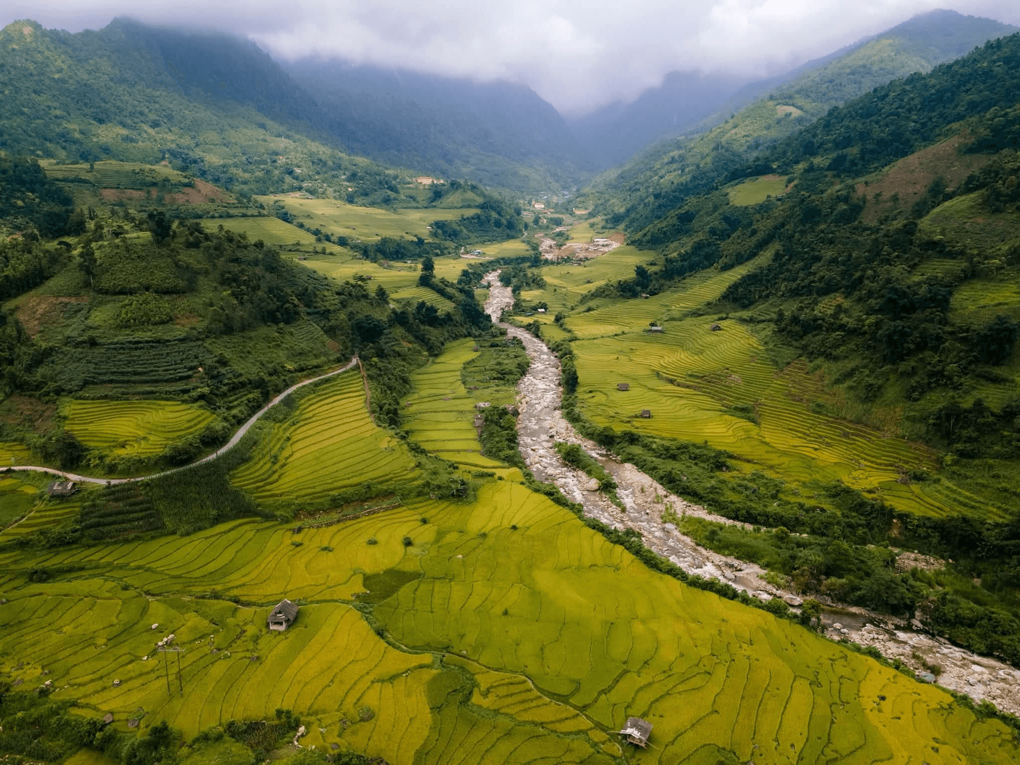  Những thửa ruộng bậc thang tại Bản Cát Cát - SaPa vào những ngày lúa chín 